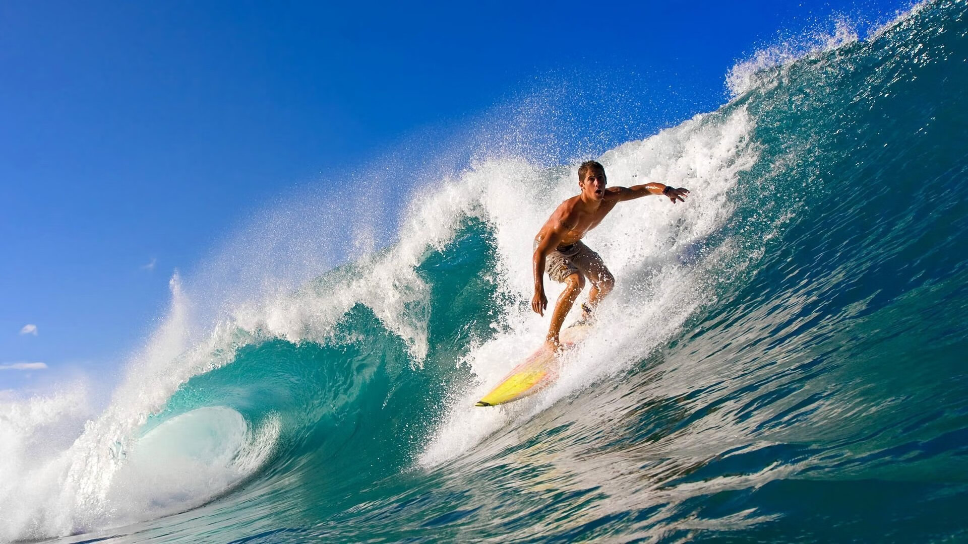 奥运火炬传递激励全球运动员，奥运火炬传递的是什么精神